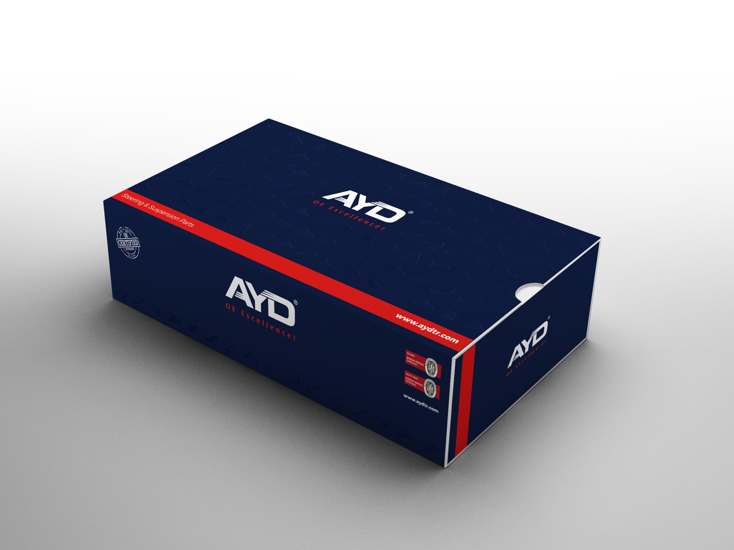 Ayd10-scaled